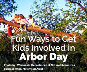 image from Fun Ways to Get Kids Involved in Arbor Day