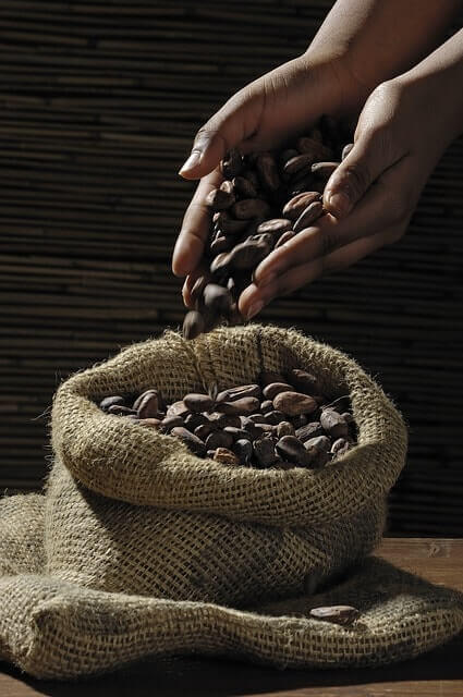 image from Best Fair Trade Chocolate Brands: Sweet, Sustainable Treats to Eat