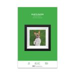 Premium Glossy Photo Paper, 11 x 17, 20 Sheet Pack, 260g, Resin Coated