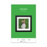 Premium Lustre Photo Paper, 11 x 17, 20 Sheet Pack, 260g, Resin Coated