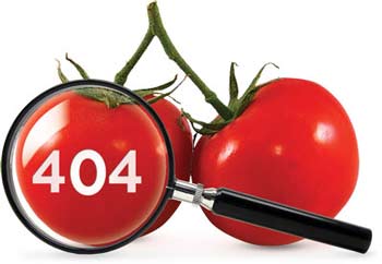 404 Tomato