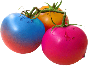 Tomato
